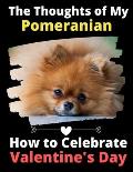 The Thoughts of My Pomeranian: How to Celebrate Valentine's Day