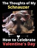 The Thoughts of My Schnauzer: How to Celebrate Valentine's Day