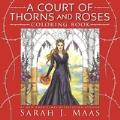 A Court of Thorns Roses Coloring Book