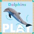 Dolphins Play