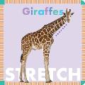 Giraffes Stretch