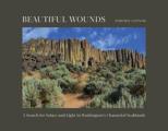 Beautiful Wounds A Search for Solace & Light in Washingtons Channeled Scablands