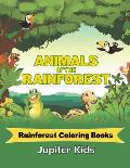 Animals Of The Rainforest: Rainforest Coloring Books