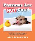 Possums Are Not Cute