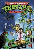Teenage Mutant Ninja Turtles Adventures Volume 14