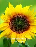 Beautiful Sunflowers Full-Color Picture Book: Sunflower Picture Book for Children, Seniors and Alzheimer's Patients -Wildflowers Nature
