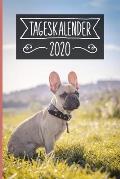 Tageskalender 2020: Terminkalender ca DIN A5 wei? ?ber 370 Seiten I 1 Tag eine Seite I Jahreskalender I Franz?sische Bulldogge I Hunde