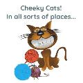 Cheeky Cats!: In All Sorts Of Places...