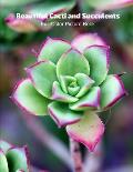Beautiful Cacti and Succulents Full-Color Picture Book: Flower Picture Book for Children, Seniors and Alzheimer's Patients -Flowers Nature Gardening