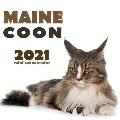 Maine Coon 2021 Mini Cat Calendar