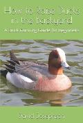 How to Raise Ducks in the Backyard: A Duck Farming Guide for Beginners