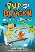 How to Catch a Dinosaur 01 How to Catch Graphic Novels