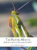 The Praying Mantis: A Manifestation of God, Come to Earth