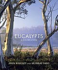 Eucalypts A Celebration
