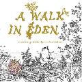 A Walk in Eden: A Colouring Book by Anders Nilsen