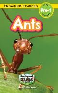 Ants: Backyard Bugs and Creepy-Crawlies (Engaging Readers, Level Pre-1)