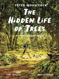 Hidden Life of Trees A Graphic Adaptation