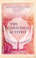 Conscious Activist Where Activism Meets Mysticism