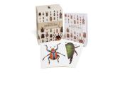 Box of Beetles 100 Beautiful Postcards