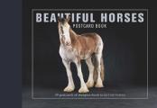 Beautiful Horses Postcard Book: 30 Postcards of Champion Breeds to Keep or to Send