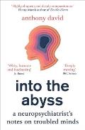 Into the Abyss: A Neuropsychiatrist's Notes on Troubled Minds