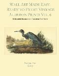 Wall Art Made Easy: Ready to Frame Vintage Audubon Prints Vol 6: 30 Beautiful Illustrations to Transform Your Home