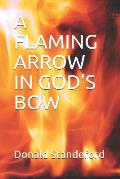 A Flaming Arrow in God's Bow