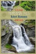 Triphammer Falls: An Ivy League Romance