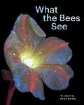 What the Bees See A Honeybees Eye View of the World