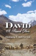 David: A Flawed Hero: Developing a Heart for God