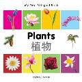 My First Bilingual Book-Plants (English-Chinese)