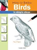 How To Draw Birds In Simple Steps