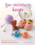 30 Minute Knits: 60 Quick and Easy Knitted Projects