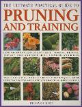 Ultimate Practical Guide to Pruning & Training