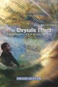 Chrysalis Effect: The Metamorphosis of Global Culture