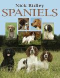 Spaniels: Work, Rest and Play