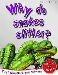 Why Do Snakes Slither Reptiles & Amphibians