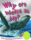 Why Are Whales So Big