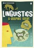 Linguistics A Graphic Guide