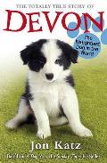 The Totally True Story of Devon, the Naughtiest Dog in the World. Based on the Story by Jon Katz