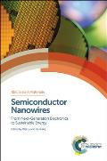 Semiconductor Nanowires: From Next-Generation Electronics to Sustainable Energy