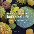 Science Is Beautiful: Botanical Life: Under the Microscope