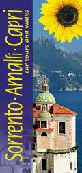 Sorrento, Amalfi and Capri: Car Tours and Walks