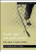 Youth Crime and Youth Justice: Public Opinion in England and Wales