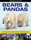 Exploring Nature: Bears & Pandas: An Intriguing Insight Into the Lives of Brown Bears, Polar Bears, Black Bears, Pandas and Others, with 190 Exciting