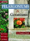 Growing Pelargoniums & Geraniums