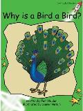 Why Is a Bird a Bird?