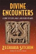 Divine Encounters A Guide to Visions Angels & Other Emissaries