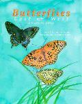 Butterflies East & West A Book To Co
