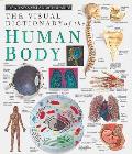 Visual Dictionary Of The Human Body